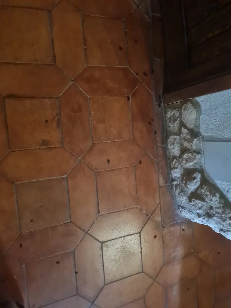 Ana Escudero_Casa Otombo_Sayatón_review