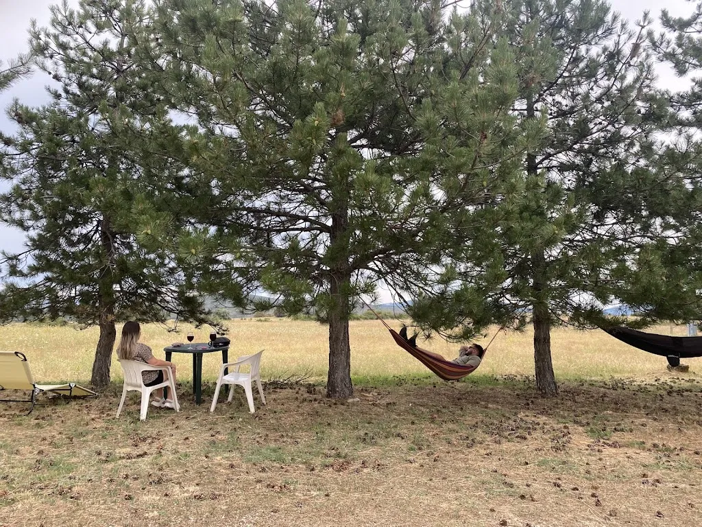 Marta Sanchez Cubero_Restaurante El Porton de Sonsaz_Tamajón_review