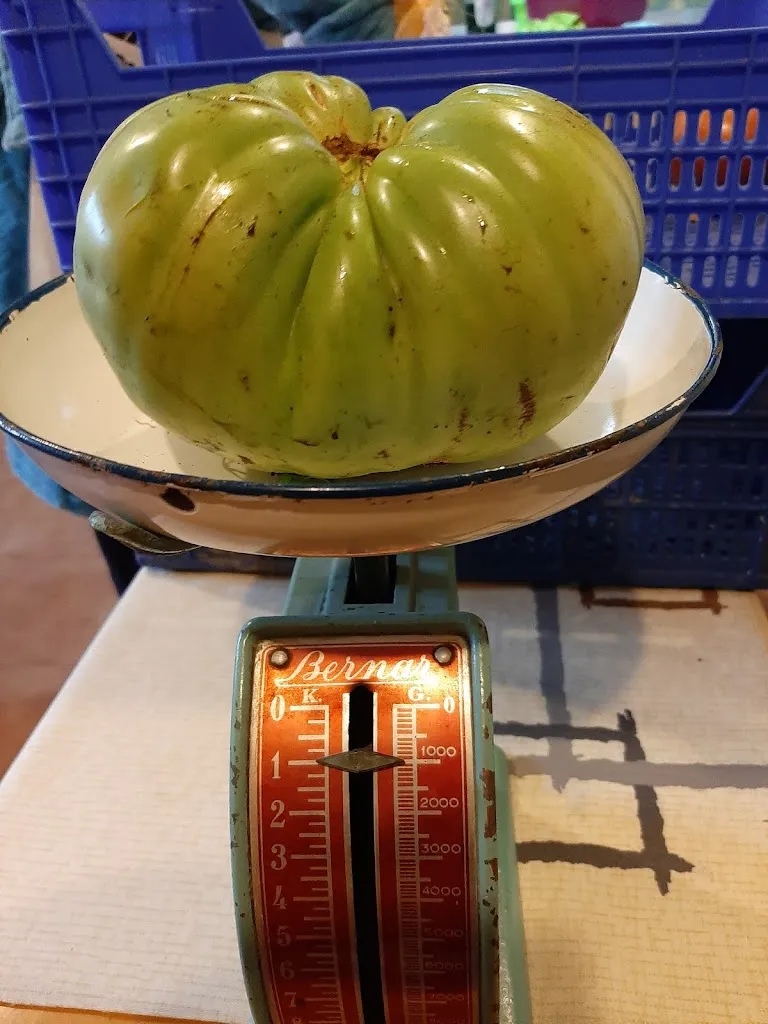 Menu_El Frenazo_Tamajón_image_9