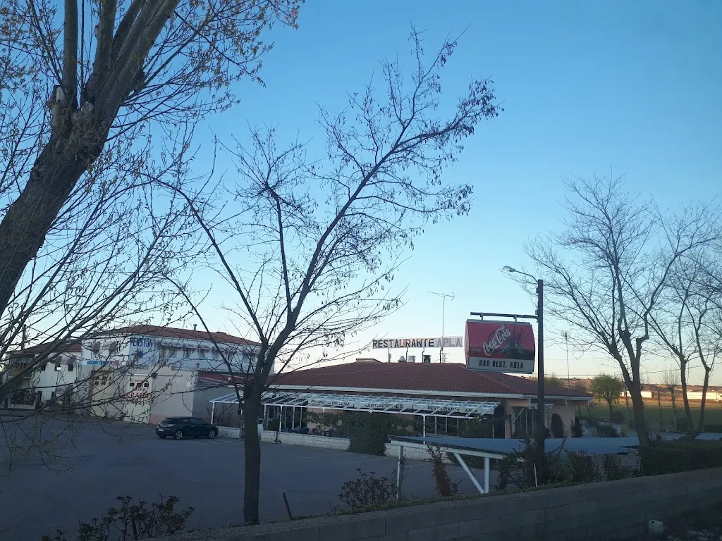 Timothy Carr_Restaurante Pensión Arla_Torremocha del Campo_review