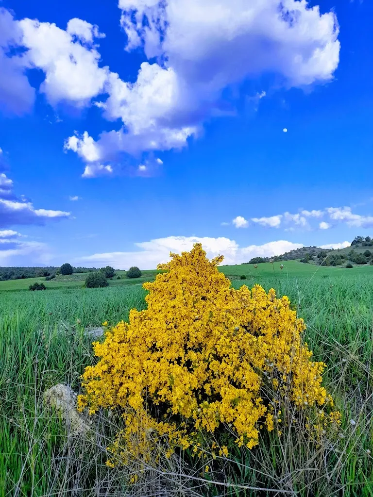 Rural Las Campanas_Torremocha del Pinar_slider_image_1