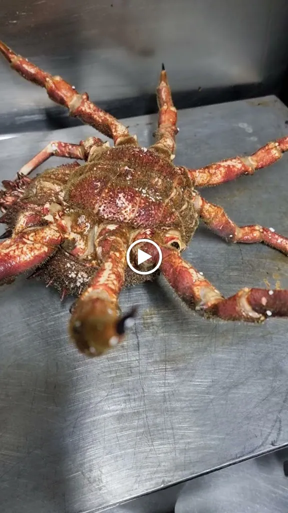 La Perla vallekas_Valderrebollo_slider_image_2