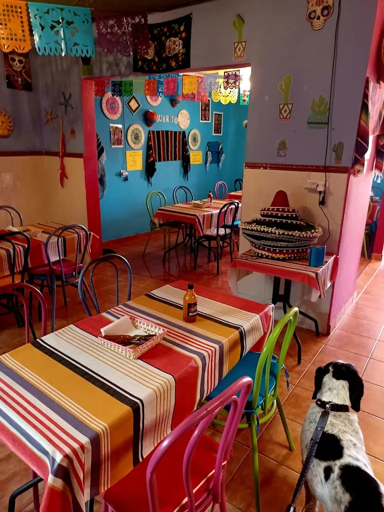 Jennifer Dalton_La Casa del Burrito Spain_Benejúzar_review