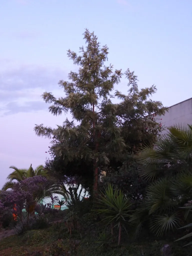 Burguer Matoma_Aljaraque_slider_image_2