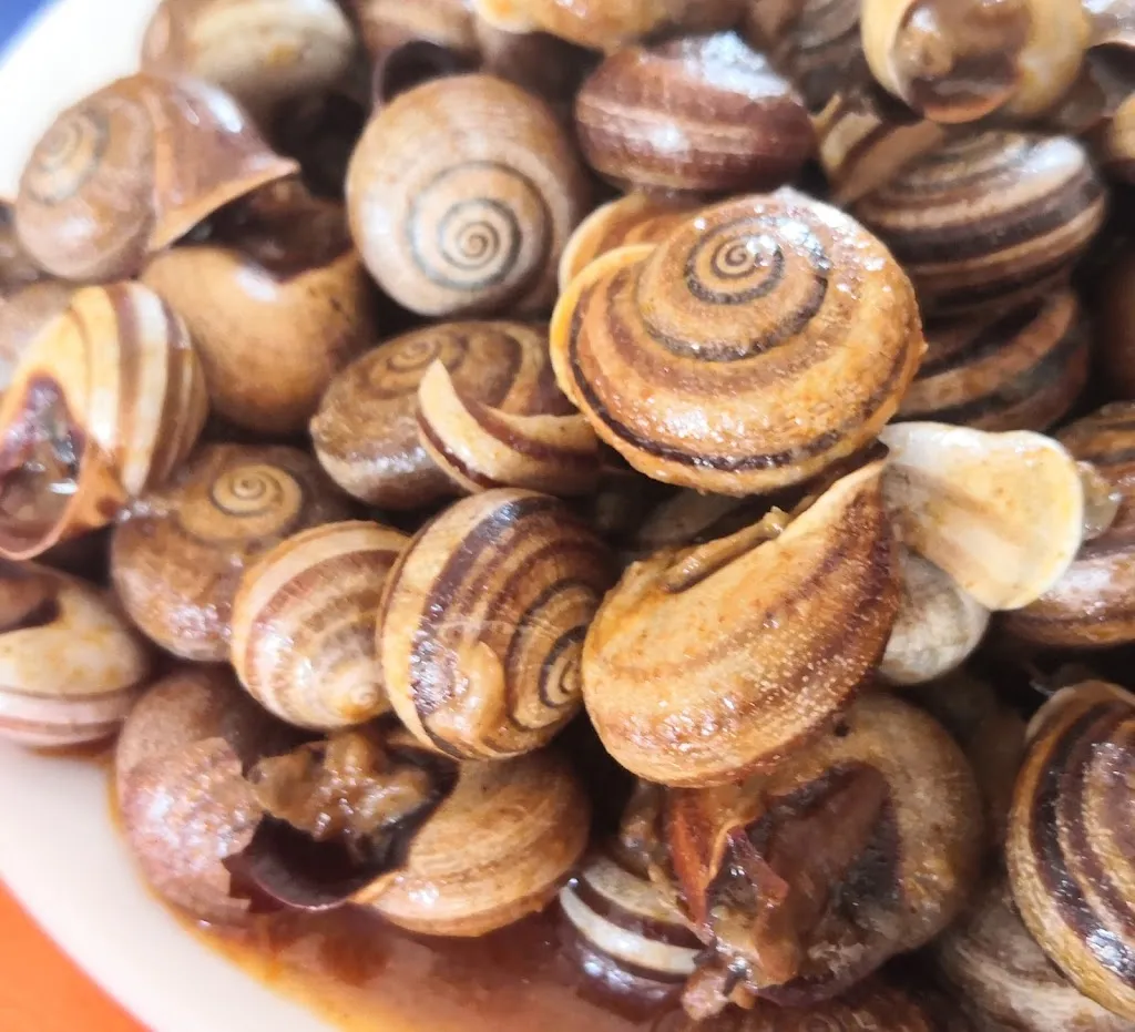 Menu_Taberna Alegría_Almonte_immagine_2