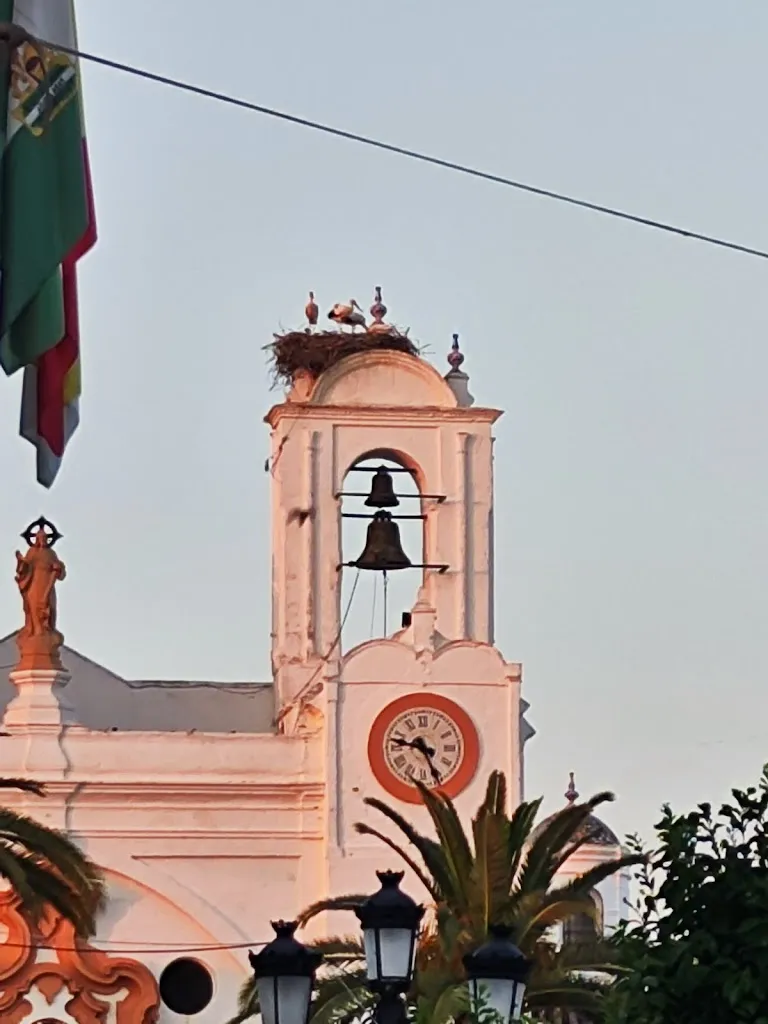 Mauricio Oliveira_Restaurante Los Tanajales_Almonte_review