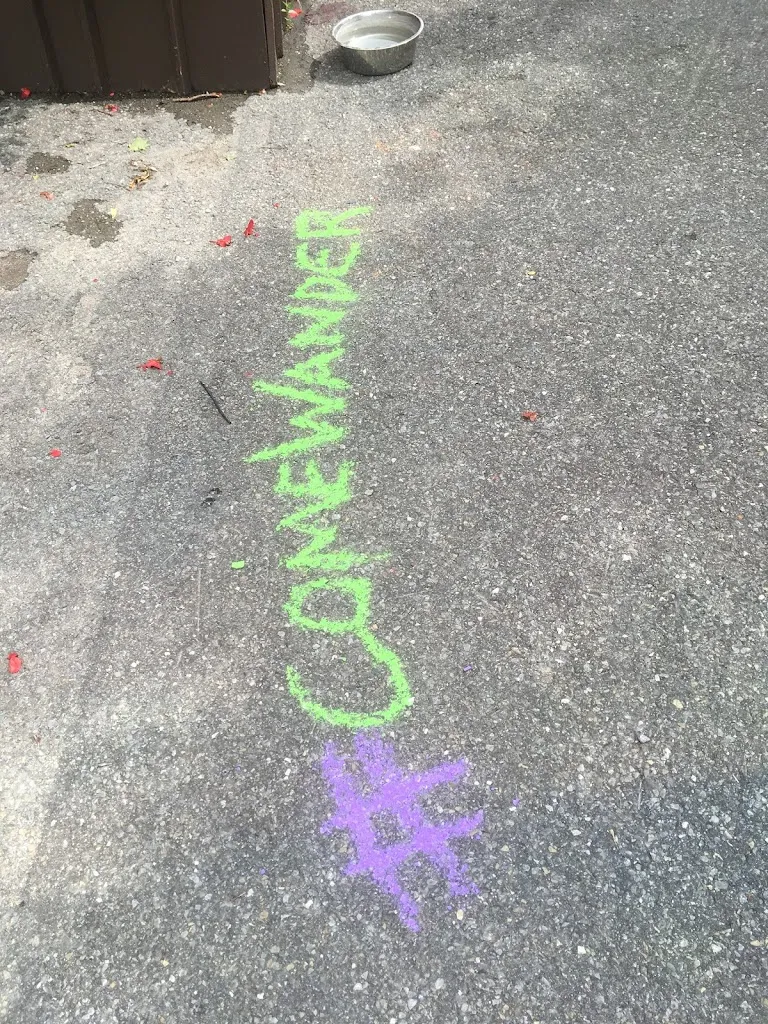 Yoshuna_Waterfall Delights Ice Cream_Almonte_review