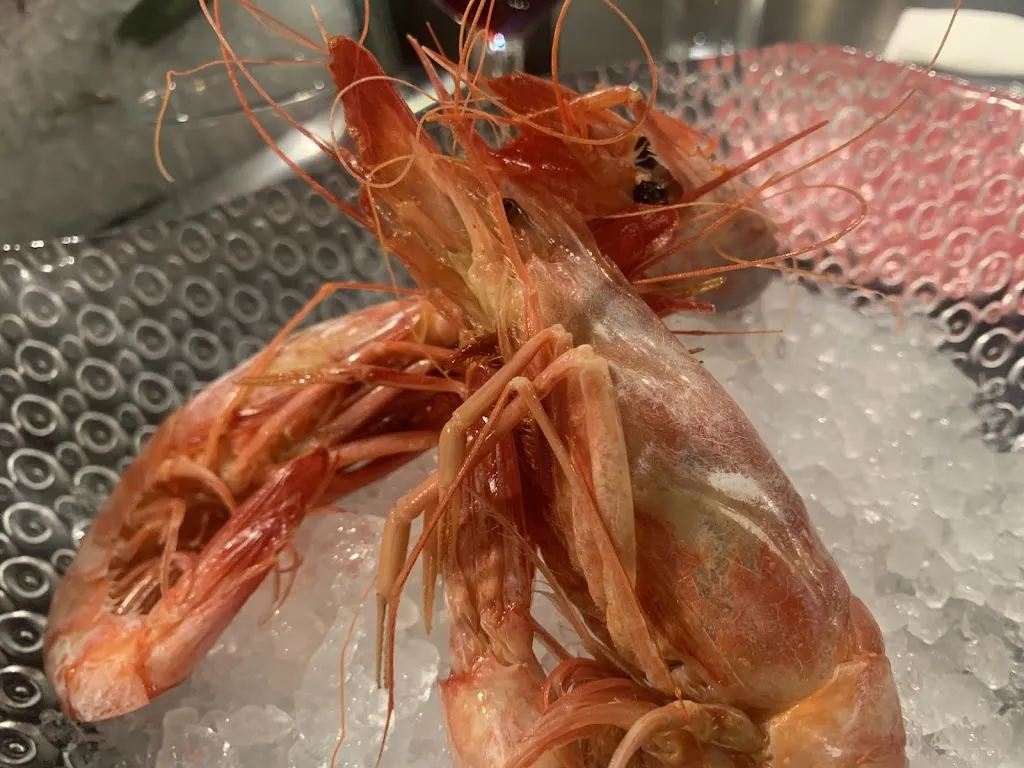 Po Jones_La Catapa_Cala_review