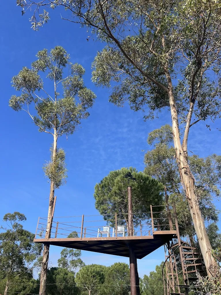 Joseph Orpen_EL PUEBLO ¡venga al pueblo!_Calañas_review