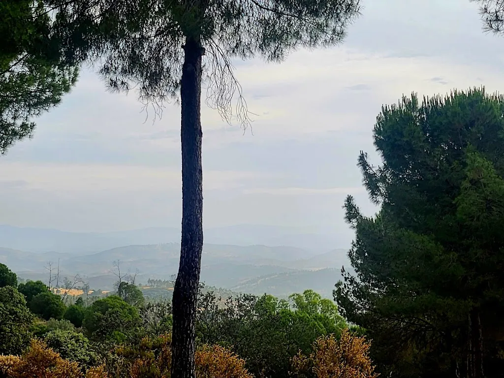 Wendy Thorby_EL PUEBLO ¡venga al pueblo!_Calañas_review