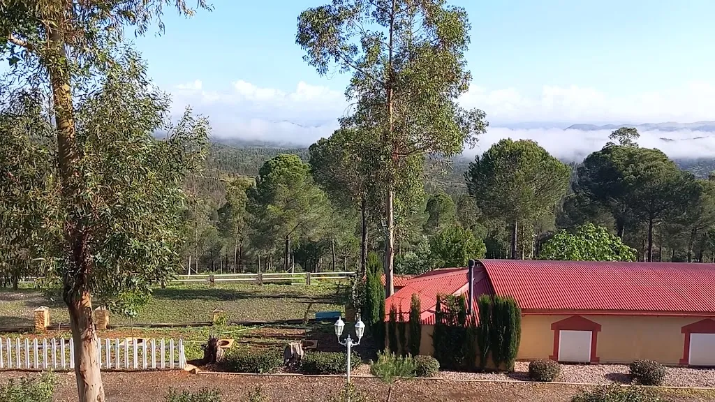 EL PUEBLO ¡venga al pueblo!_Calañas_slider_image_2