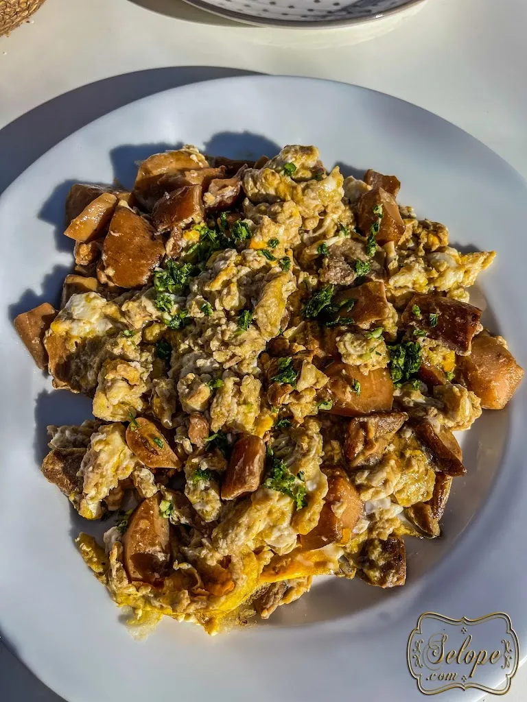 Selope Foto - Video_Cerrado_Castaño del Robledo_review