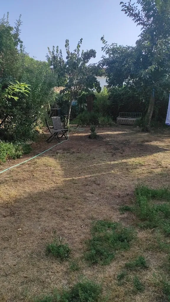 Martyn Lewis_Posada del Castaño_Castaño del Robledo_review