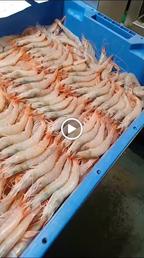 Bodega Roldan - Restaurante en Bollullos Par del Condado_Bollullos par del Condado_slider_image_2