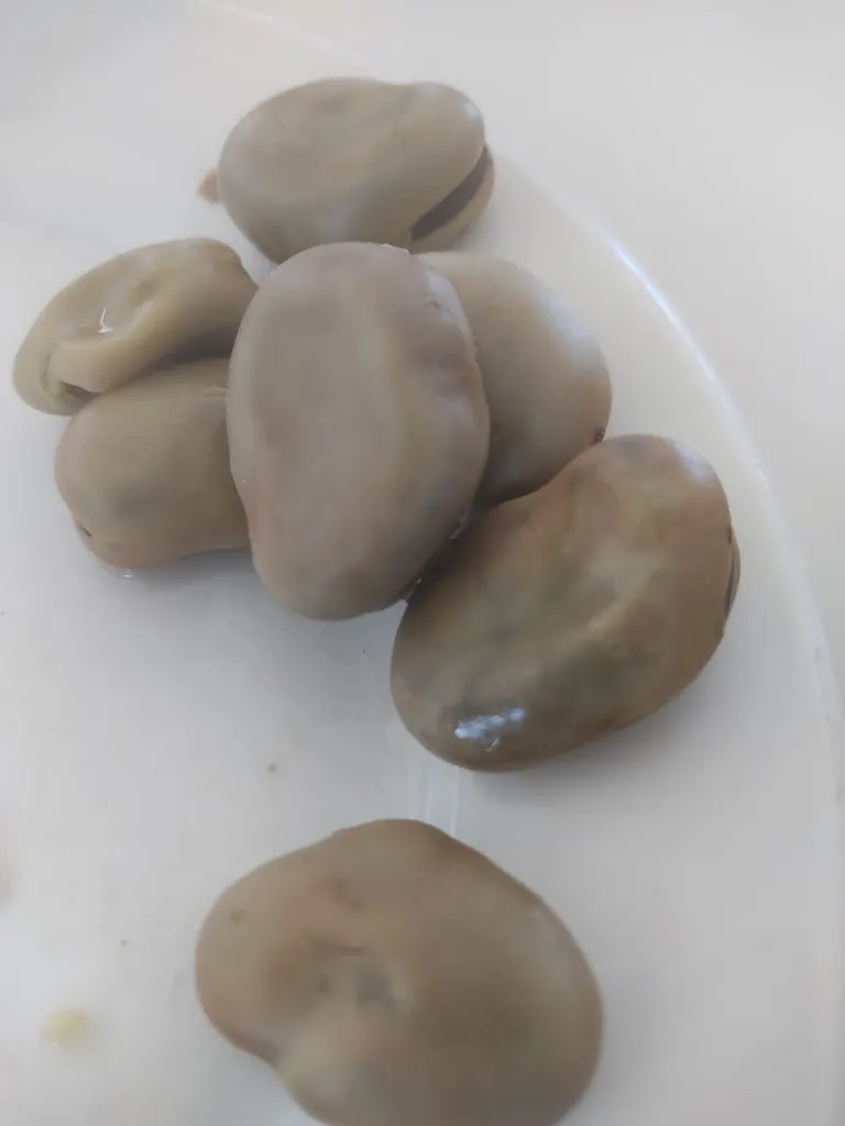 Mª Cinta Aguaded_Oriental_Bollullos par del Condado_review