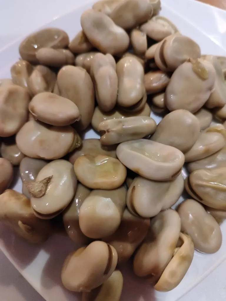 Francisco PAMV_Peña bética, cultural center_Bollullos par del Condado_review