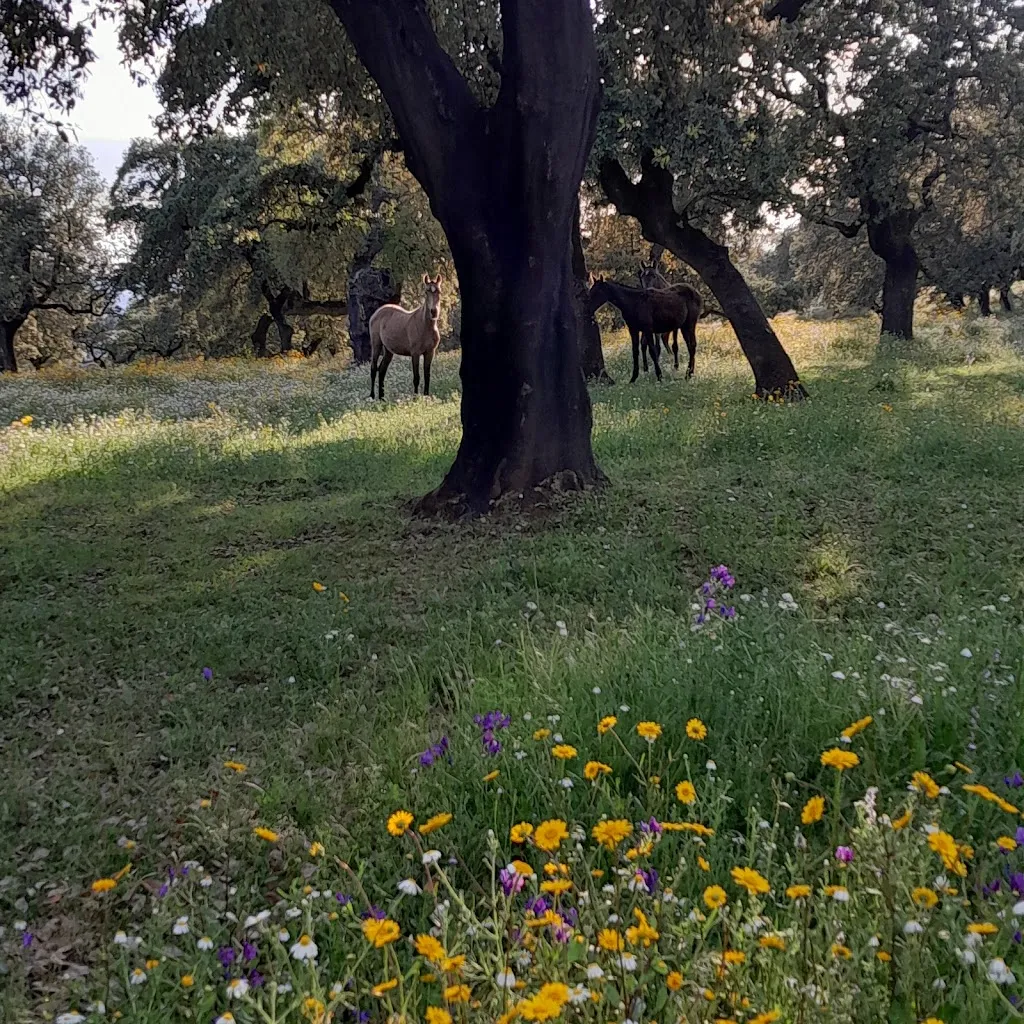 Jesús_HOSPEDERÍA DE LA CORTE - EVOLUCION CENTER - Casa Rural & Retiros_Corteconcepción_review
