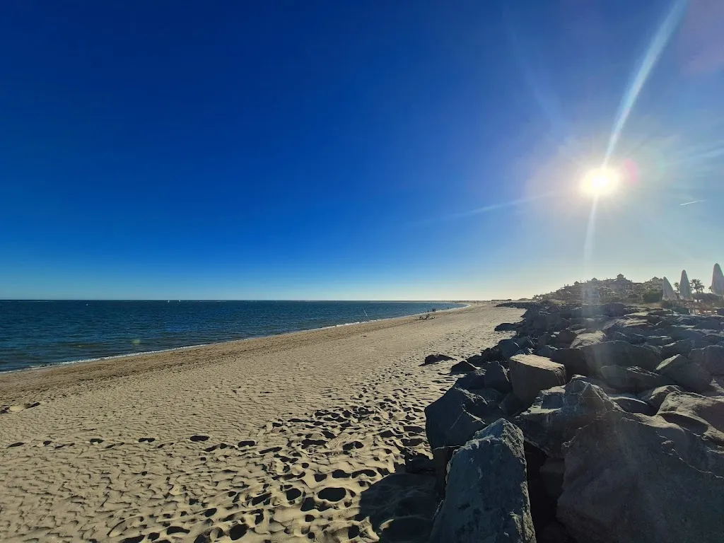 Gus Chavez Jr_Okapi in the paradise_Ayamonte_review