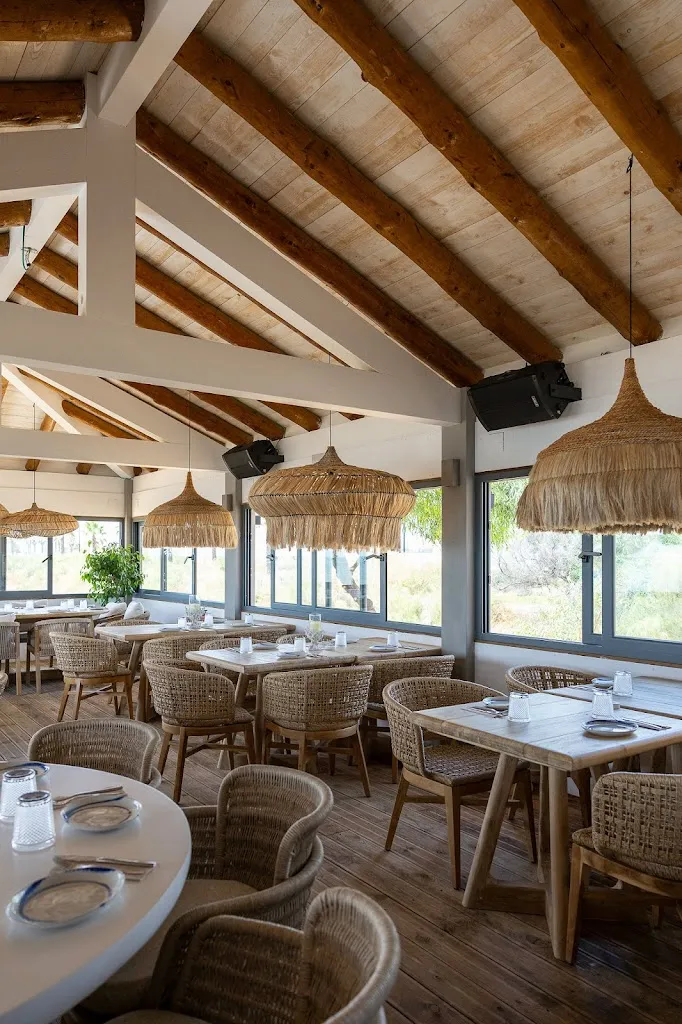 Okapi in the paradise_Ayamonte_slider_image_1