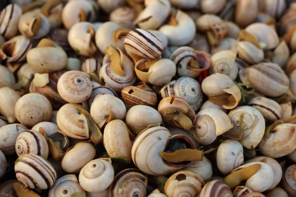 Menü_Restaurante Casa Silveira_Ayamonte_Bild_6