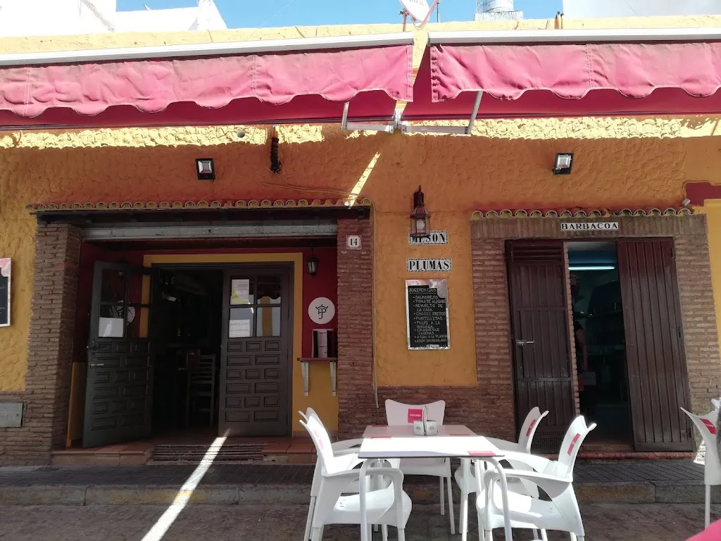 Restaurante Mesón Plumas_Ayamonte_slider_image_1