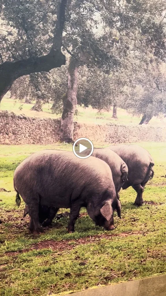 Meson La Serrania de Macías_Ayamonte_slider_image_2