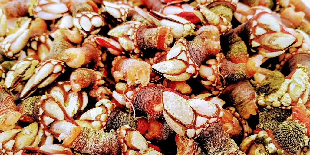 Menu_Ave Del Mar_Camariñas_image_9