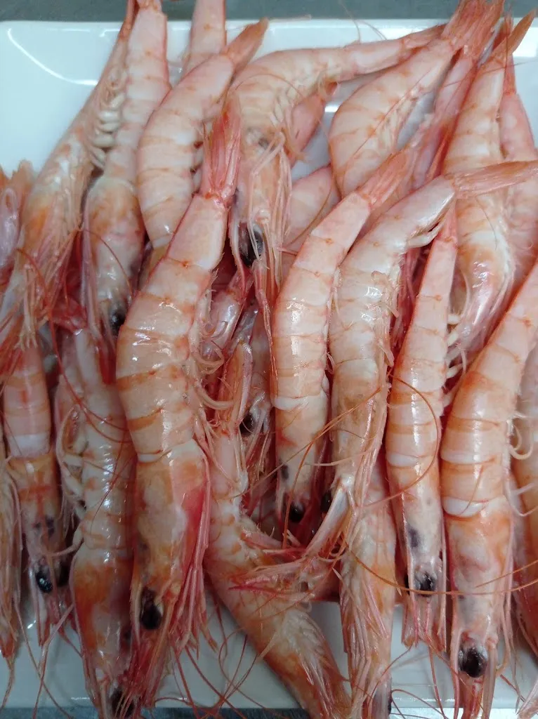 Menu_Bar Chotela_Aracena_image_8