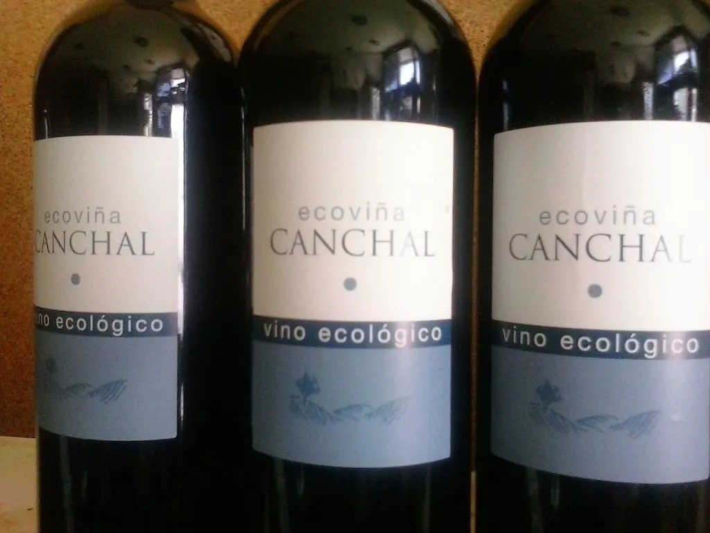 Menu_Bar Monte Robledo_Aracena_image_6