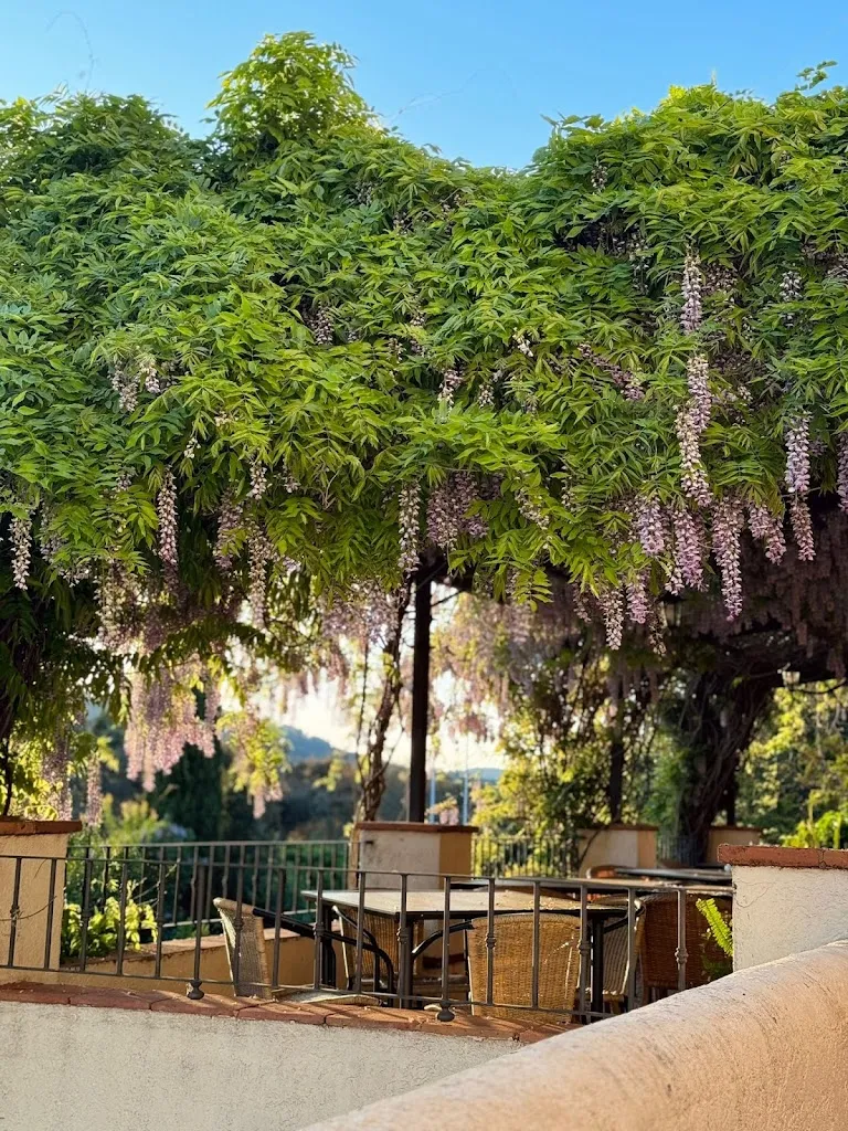 Restaurante la Encina del Francés_Aracena_slider_image_3