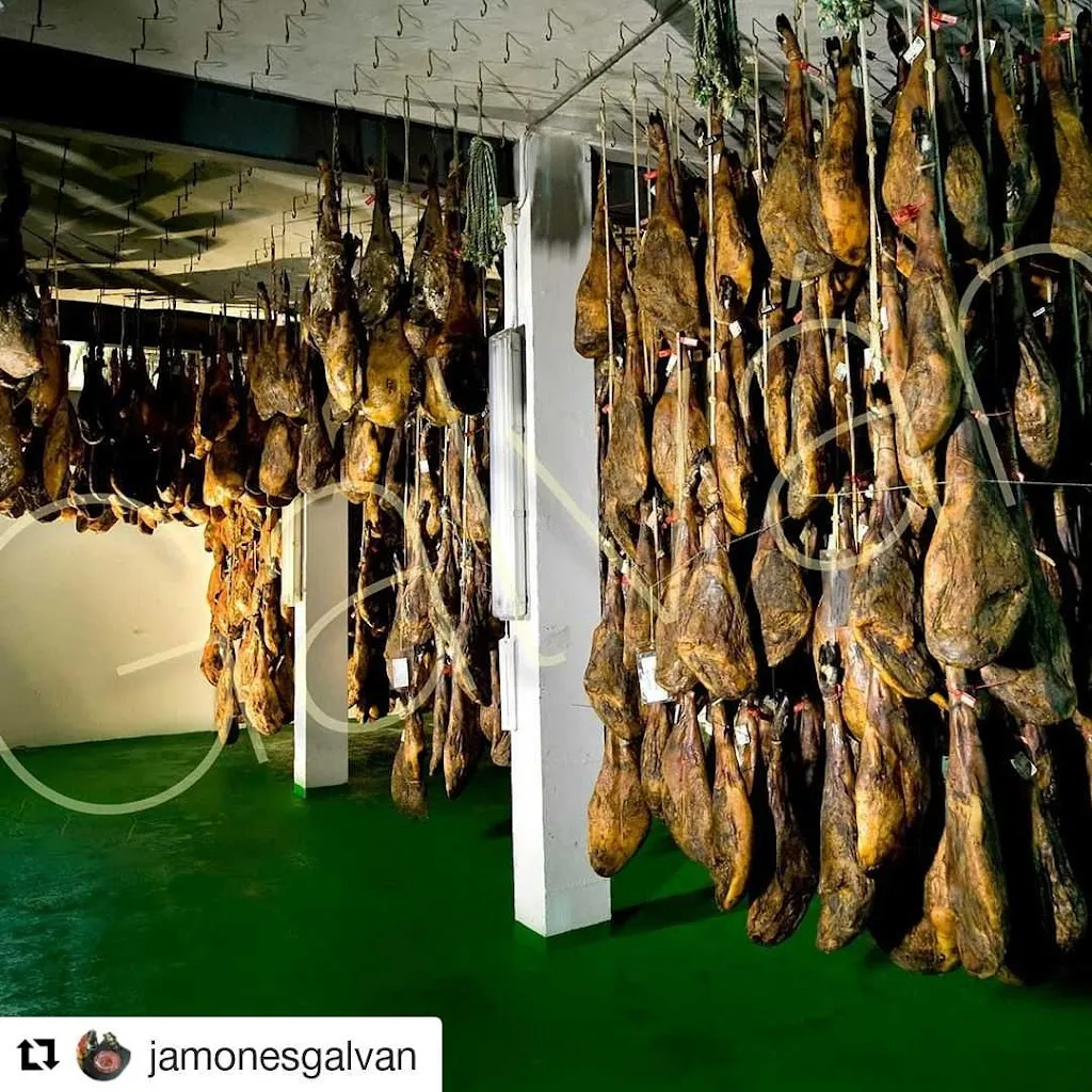 Reme Galvan_Jamones Y Embutidos Galván_Cumbres de Enmedio_review