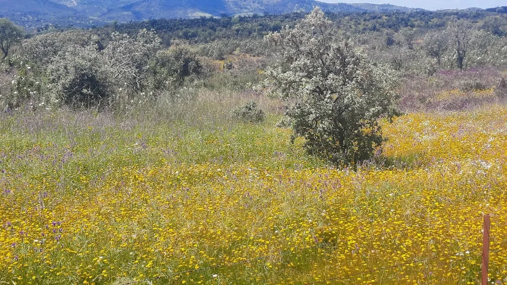 Antonia R_IBERDEN · ibéricos de Encinasola_Encinasola_recensione