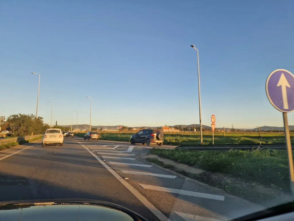 Ulrich R. Steiner_Braseria Chan_Cartaya_review