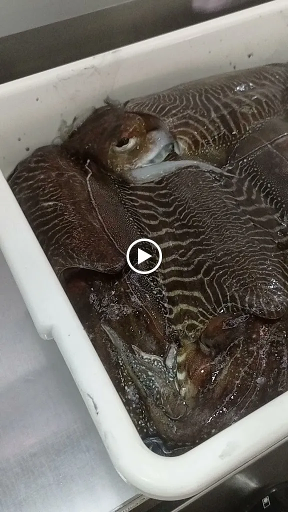 Bar-cafeteria Boga_Cartaya_slider_image_2