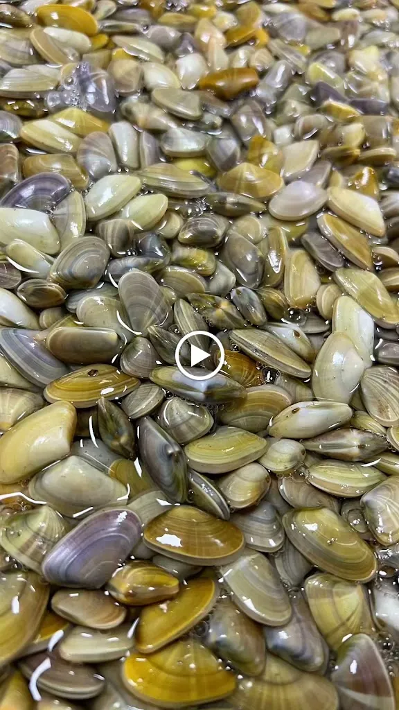 Marisqueria Cerveceria La Colita_Cartaya_slider_image_2