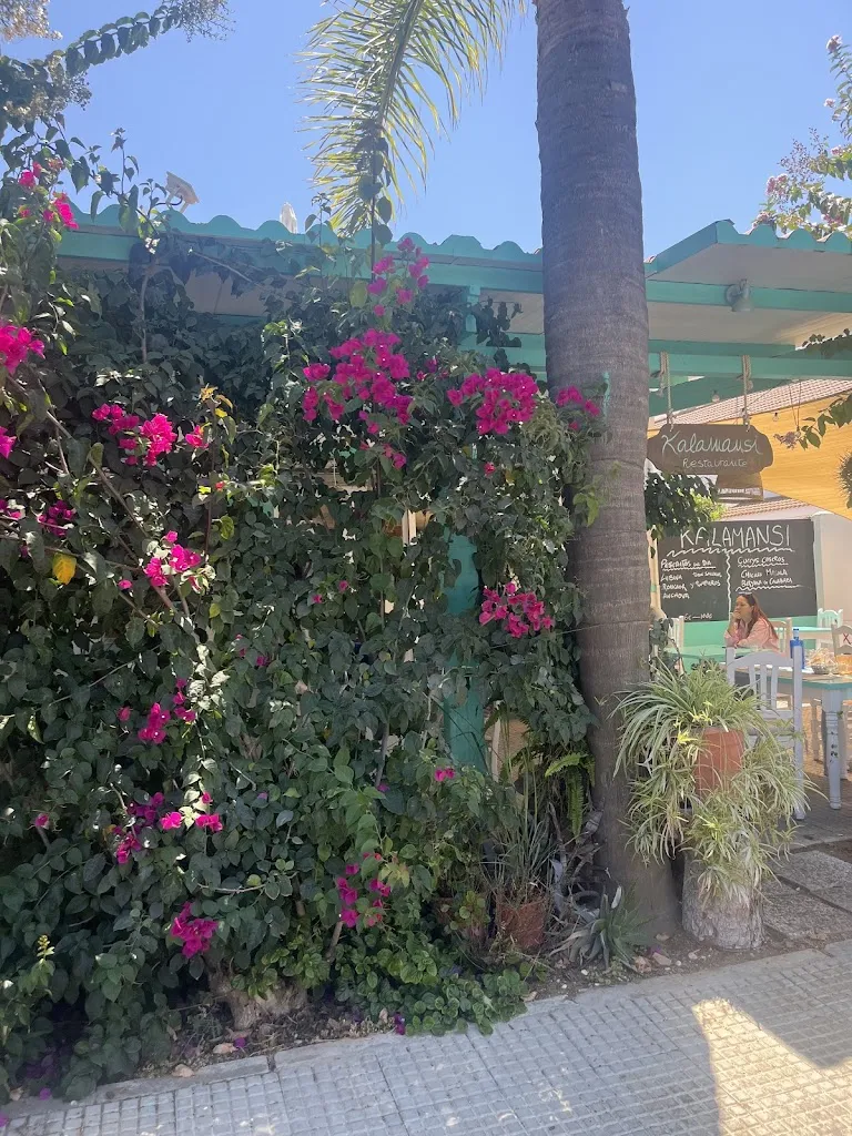 Irene Cedillo_RESTAURANTE KALAMANSI_Cartaya_review