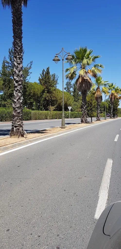 Ulrich R. Steiner_Pizzaria Milano_Cartaya_review