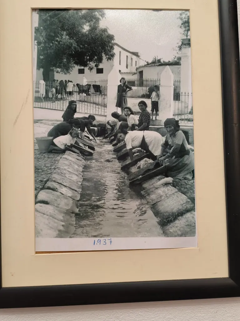 Elisa Iniesta_Bar Casa Rafalito Galaroza_Galaroza_review