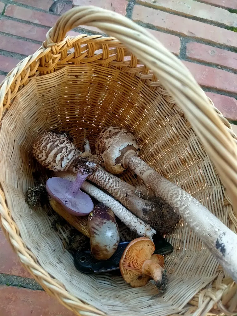 Menu_Bar La Parada_Galaroza_image_7