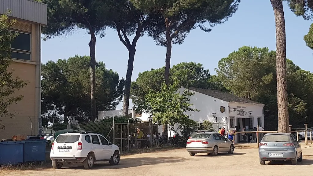 Javier Martinez Etxaniz_Peña Flamenca Alboreá_Hinojos_review