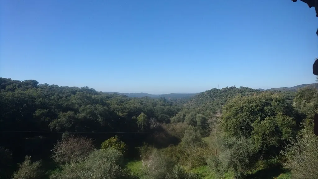 Robyn Adams_El Cruce Hostal-Restaurante_Marines Los_review