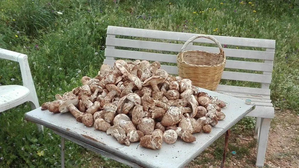 Menu_Restaurante_Gibraleón_image_7