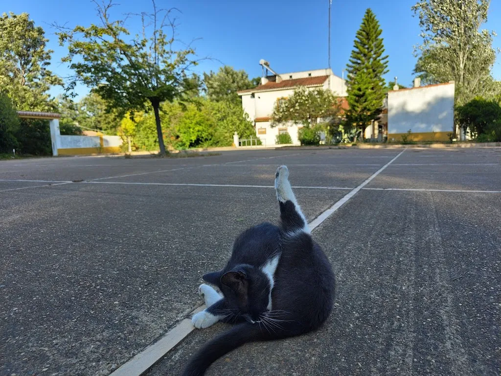 Kevin Wolff_Cortijo Los Conquistadores_Lucena del Puerto_review