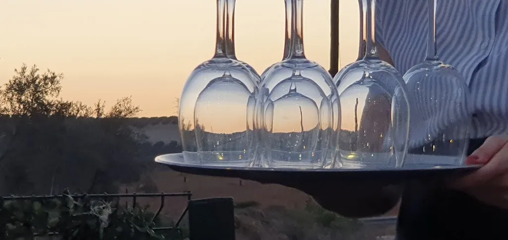 Donald Taylor_Restaurante Venta La Camila_Lucena del Puerto_review