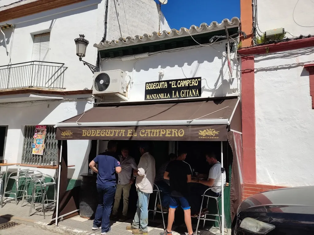 Bodeguita El Campero N 9 restaurant in Paterna del Campo