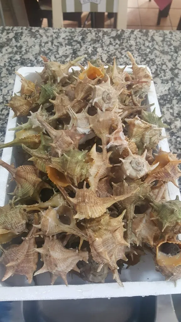 Menu_Cervecería El Ancla_Palma del Condado La_image_7