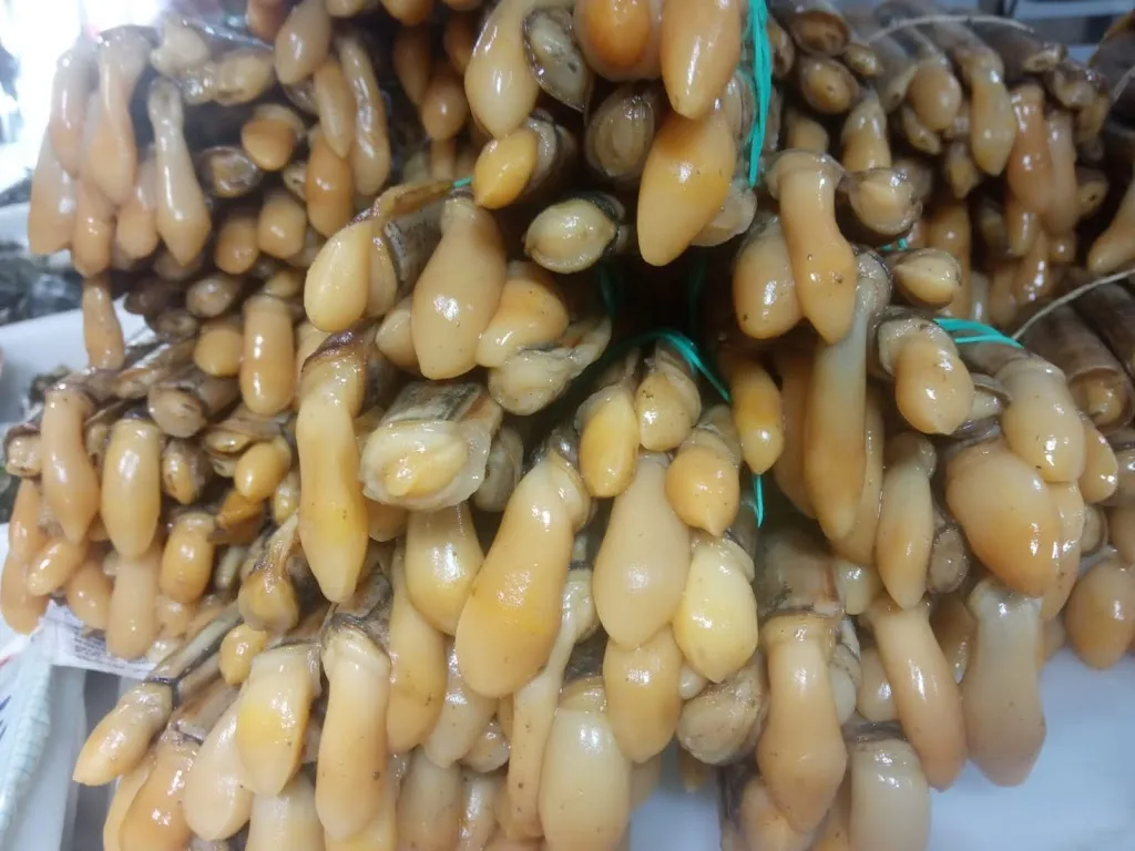 Menu_Cervecería El Ancla_Palma del Condado La_image_8