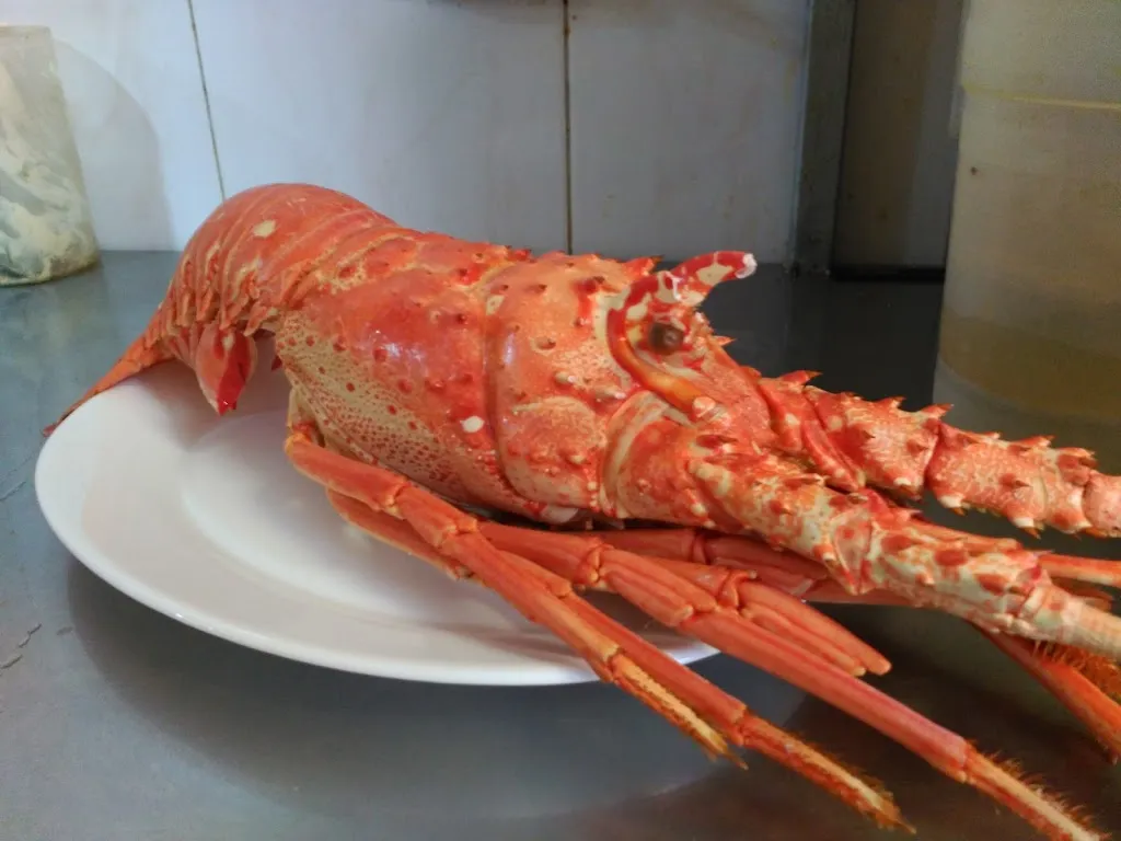 Menu_Bar San Antonio/Juanicurro_Palma del Condado La_image_5