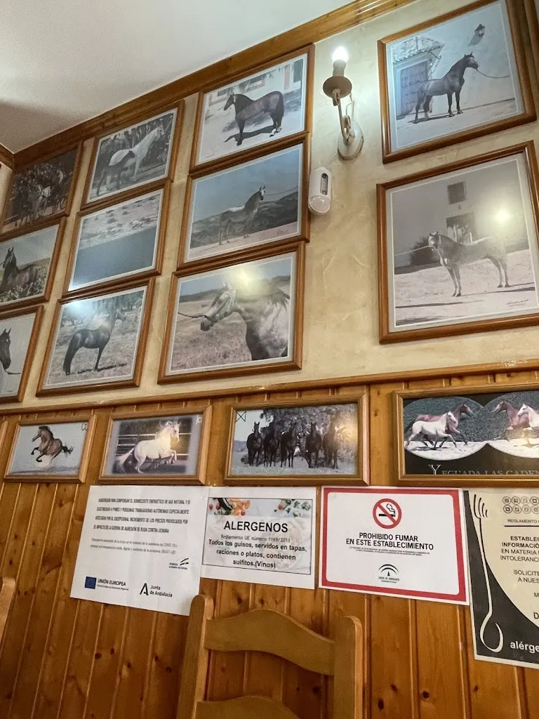 Telmo Martincano_Bar La Peña_Puebla de Guzmán_review