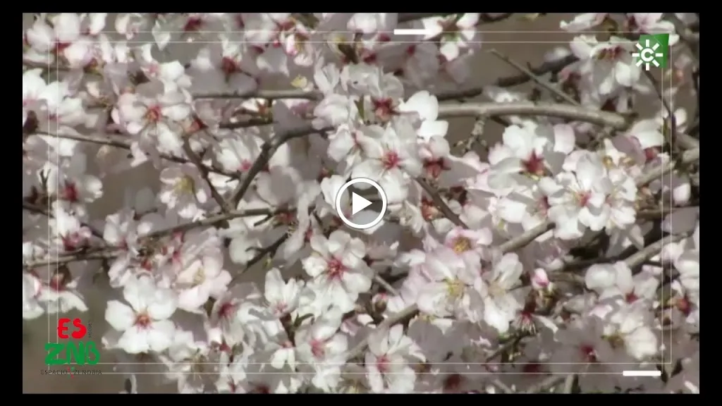 Bar restaurante Tapas Zenobia_Moguer_slider_image_2